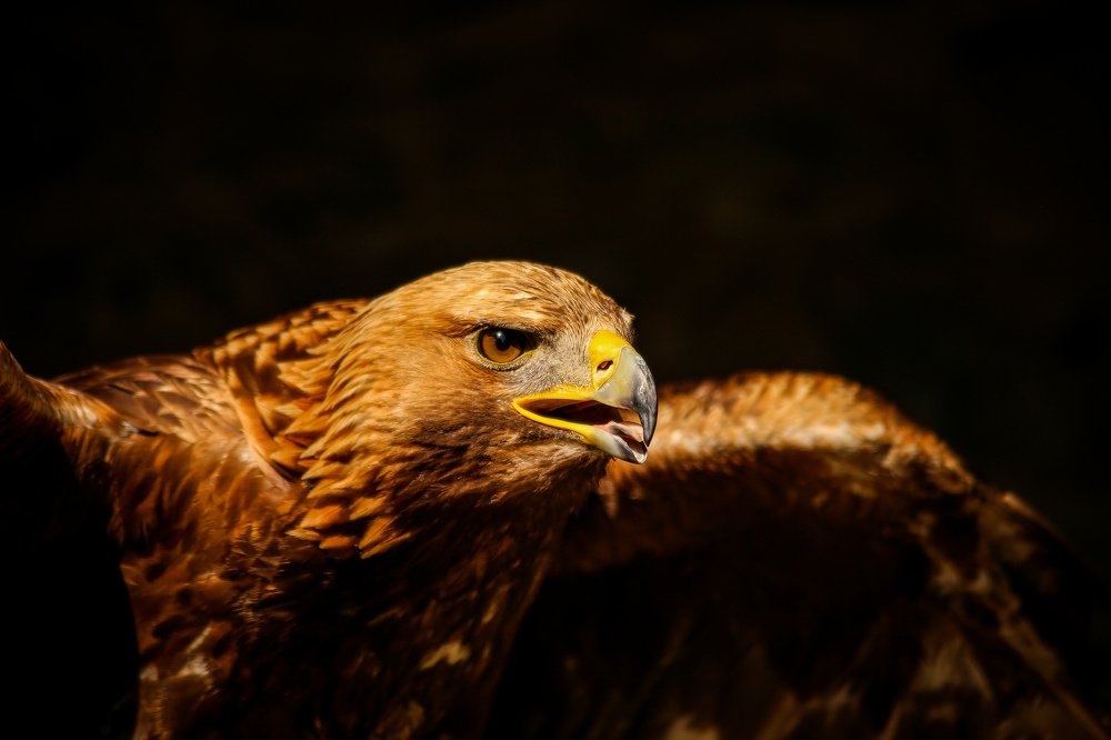 Фотография автора Andrej Levius