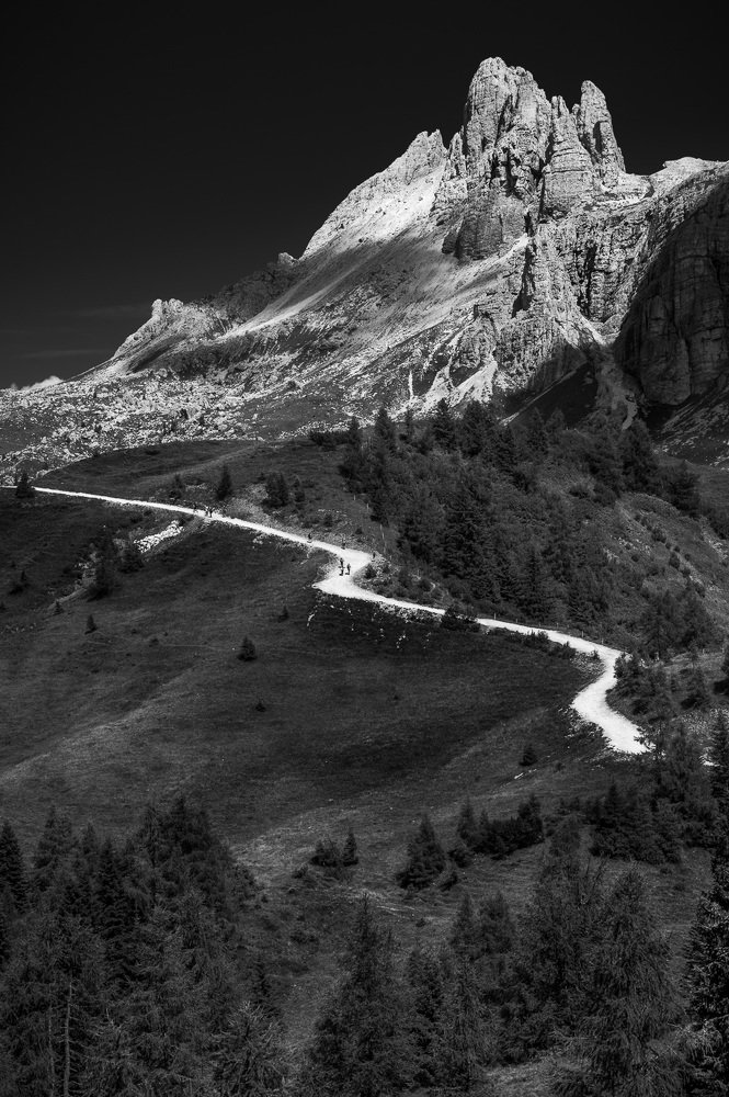 Photograph by Davide