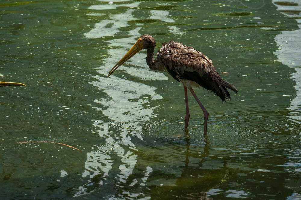 Photograph by Dzianis Mizhui