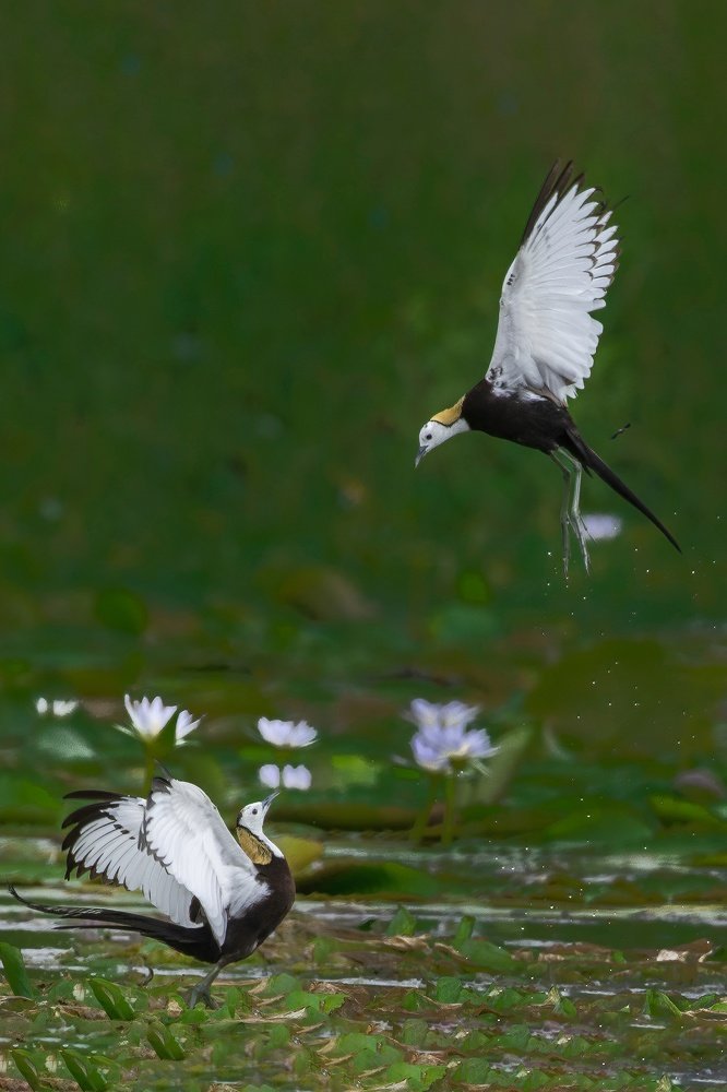 Photograph by Sumanta Hazra