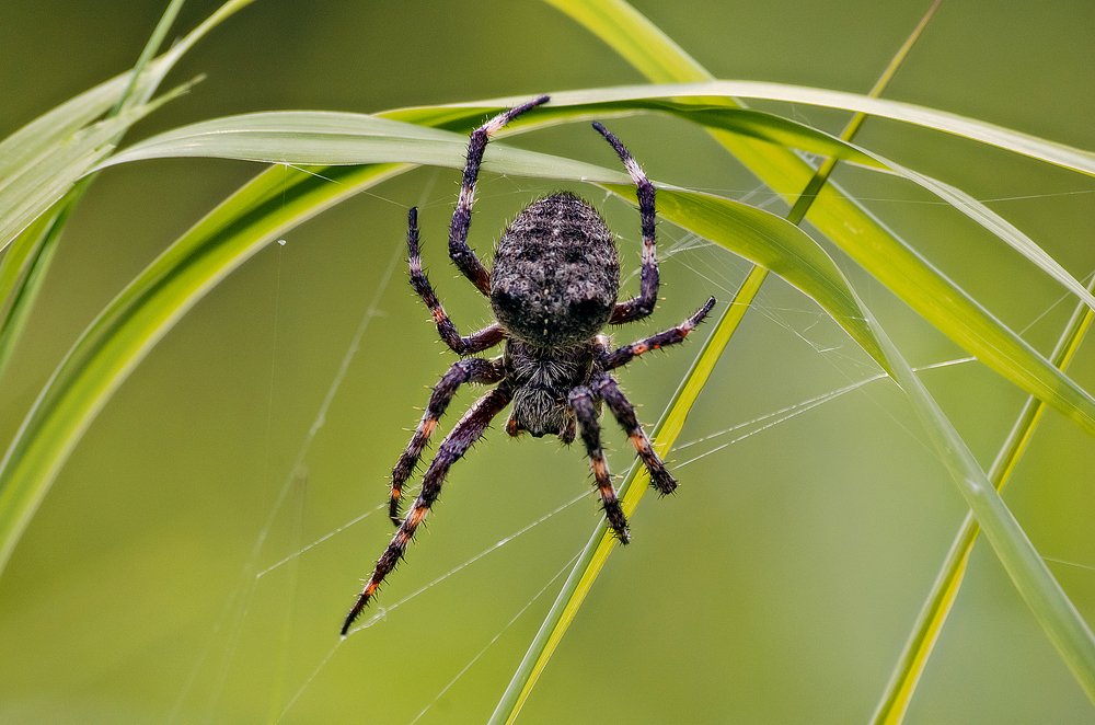 Photograph by Дмитрий Бухтик