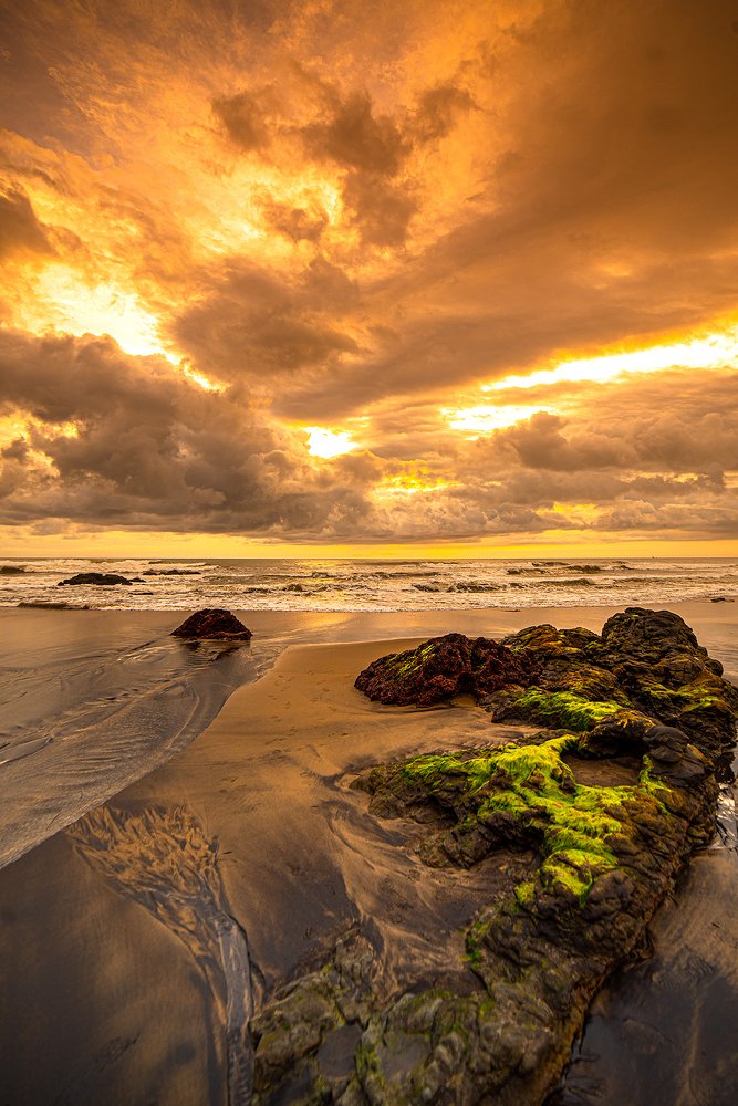 Photograph by Srinivas Kotagauni