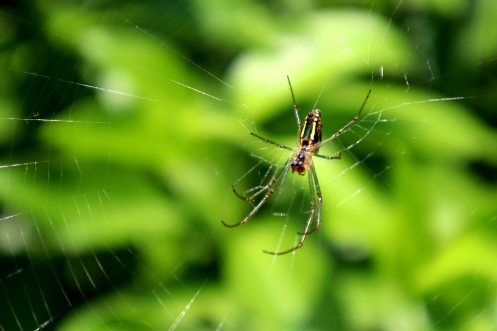 Фотография автора Omar Alammari
