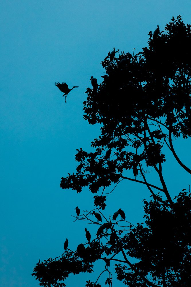 Photograph by Krid Karnsomdee