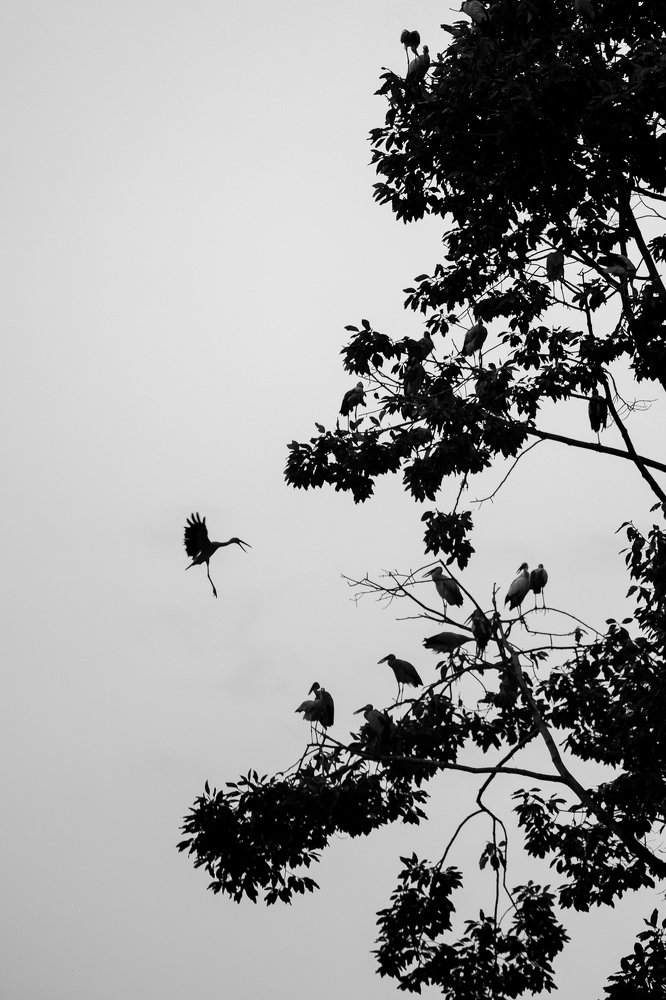 Photograph by Krid Karnsomdee