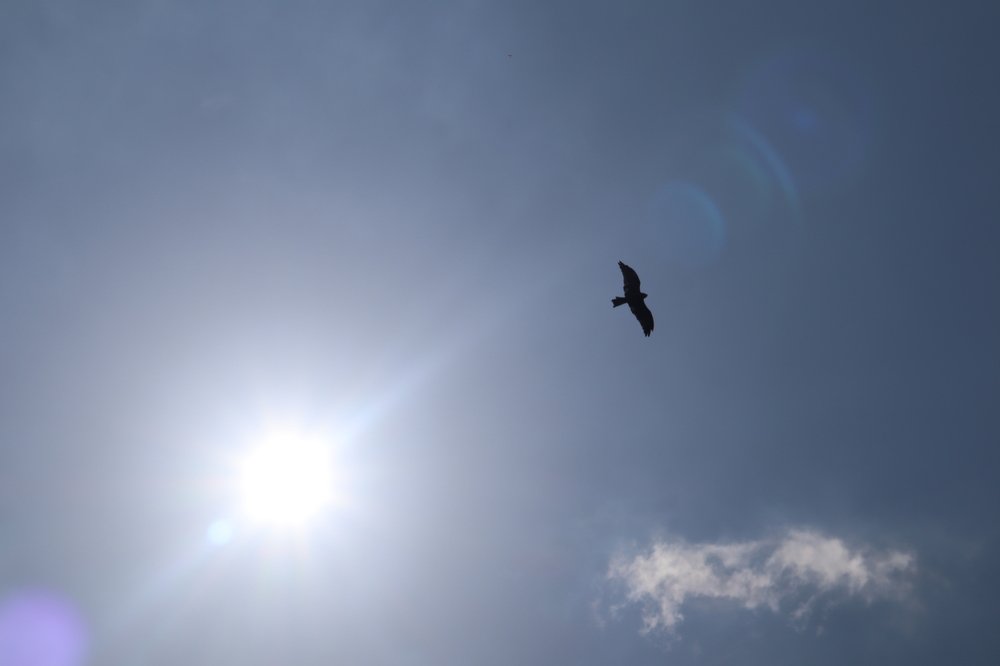 Фотография автора Omar Alammari