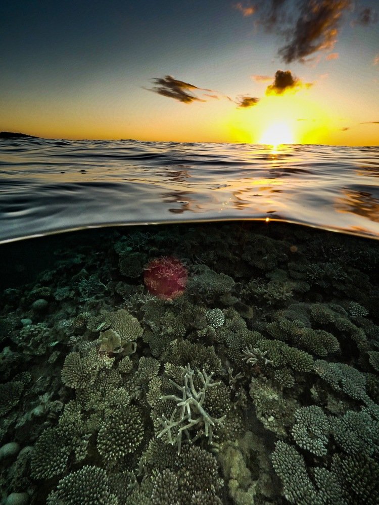 Photograph by Serge Melesan