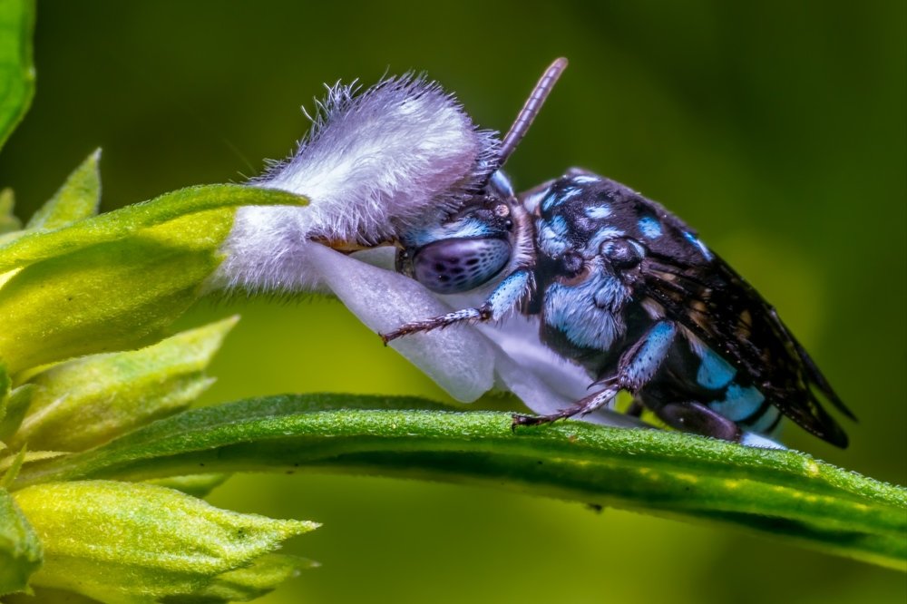 Photograph by debasish pal