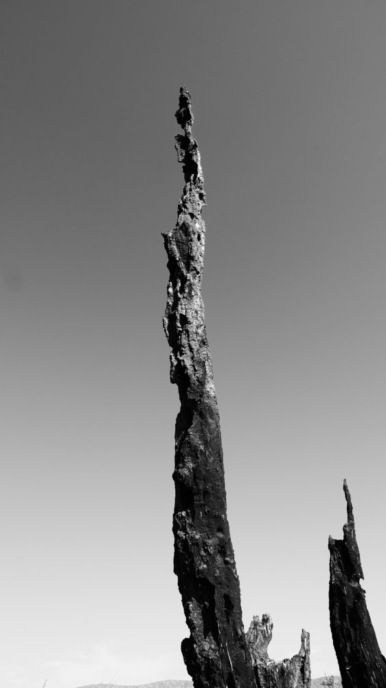 Photograph by Виталий Лозовой