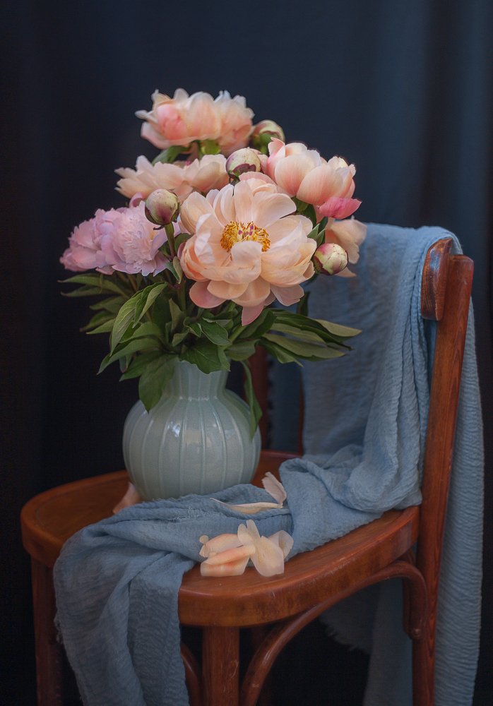 Photograph by Светлана Кавказская