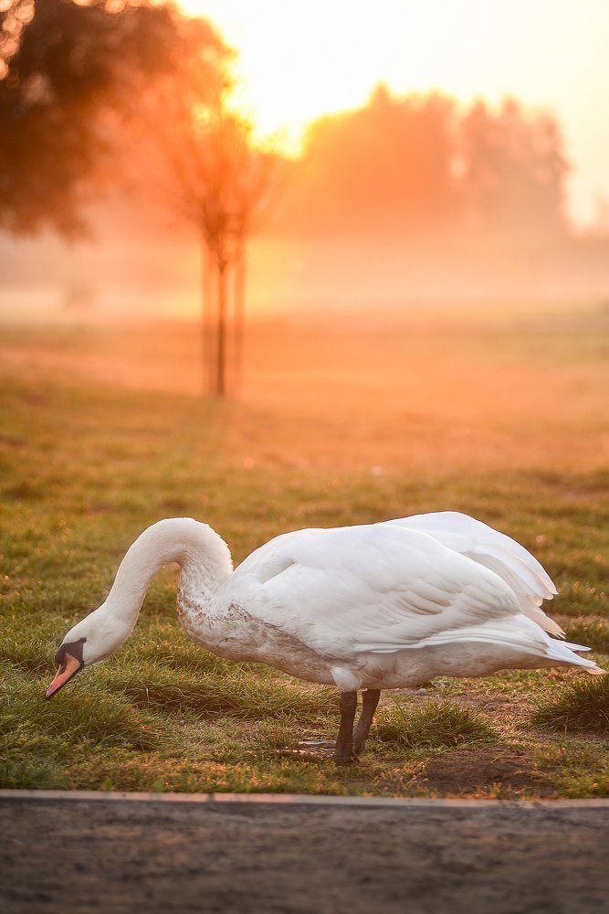 Фотография автора Marta Goch