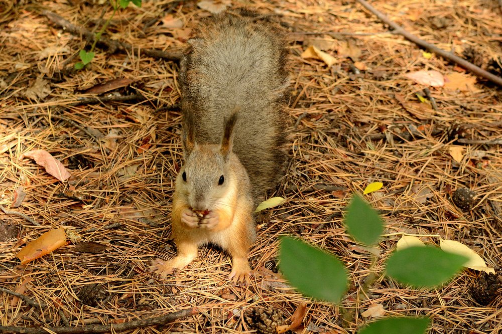 Photograph by Александра Ватутина