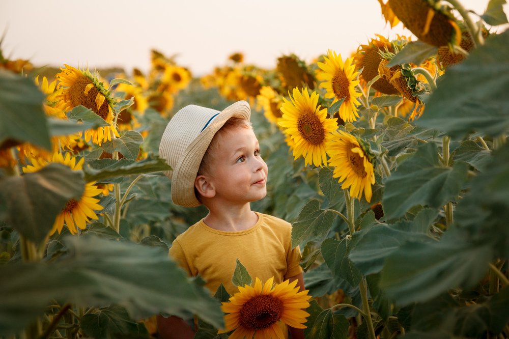 Photograph by Дарья Стеклова