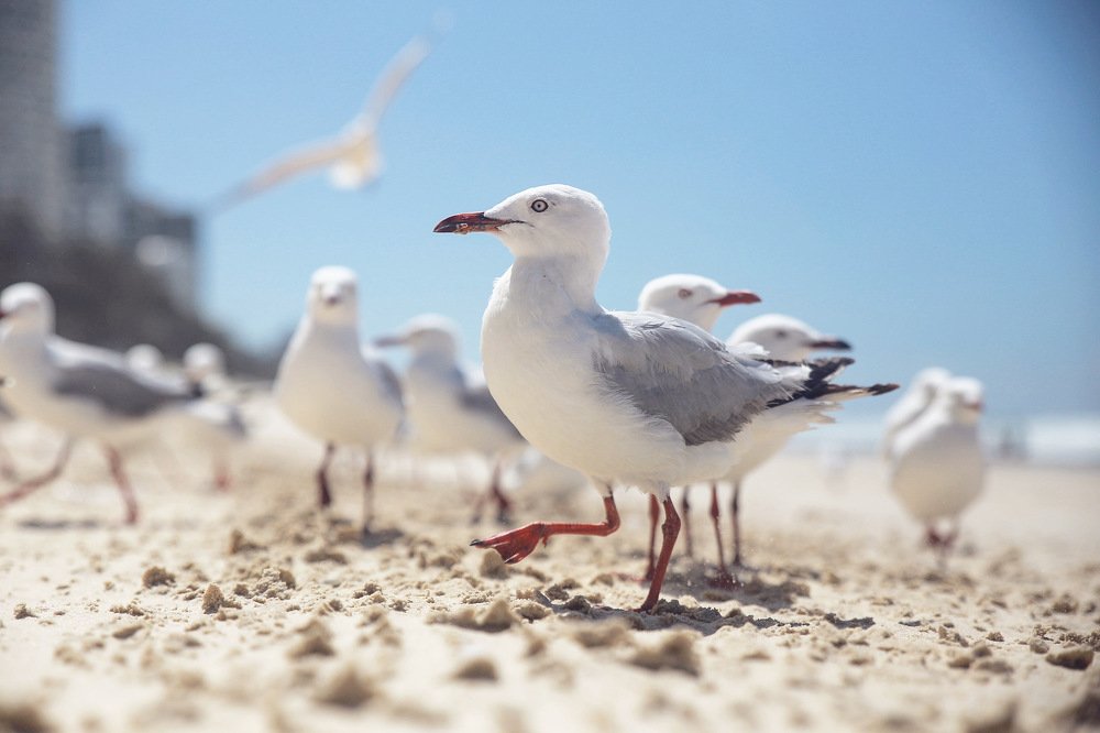 Photograph by Елена Цырюк