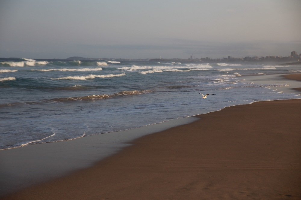 Photograph by Елена Цырюк