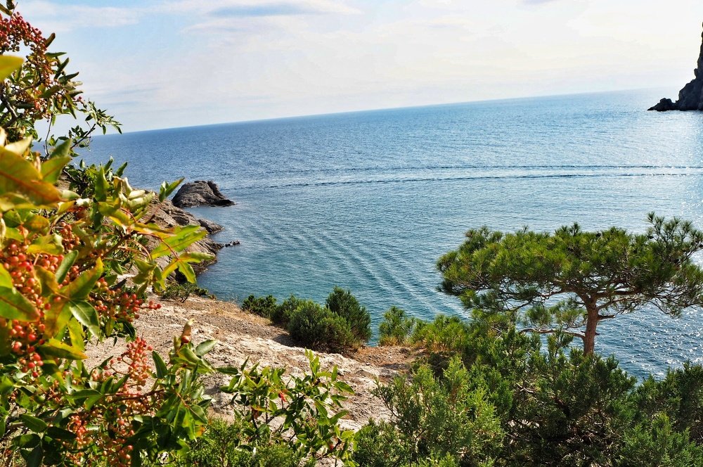 Photograph by Ирина