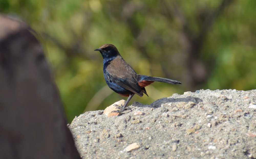 Photograph by Sourabh Sharma