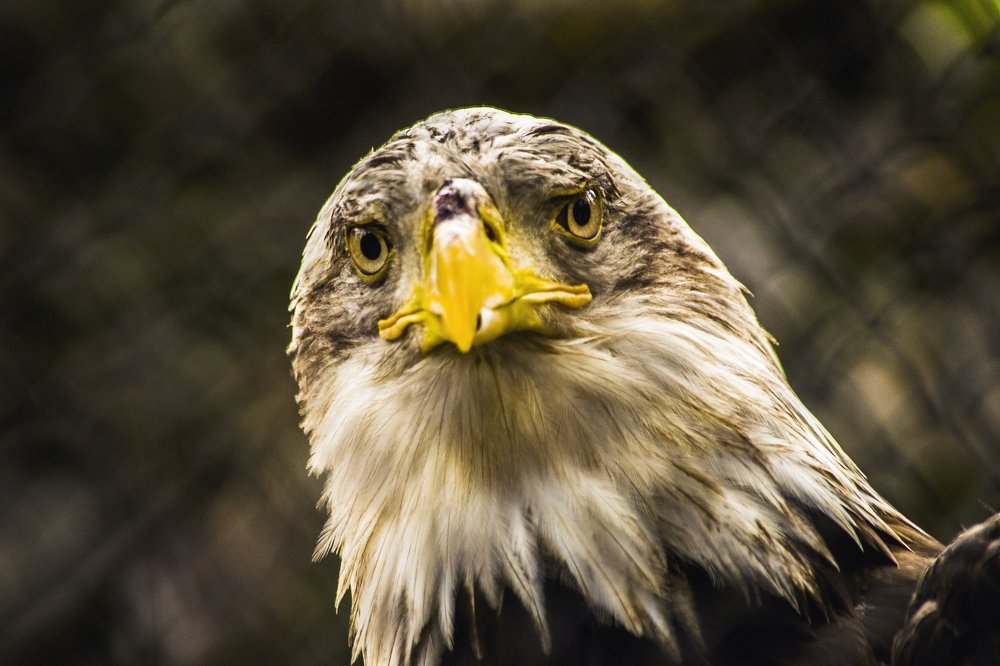 Photograph by Victoria Krasyuk