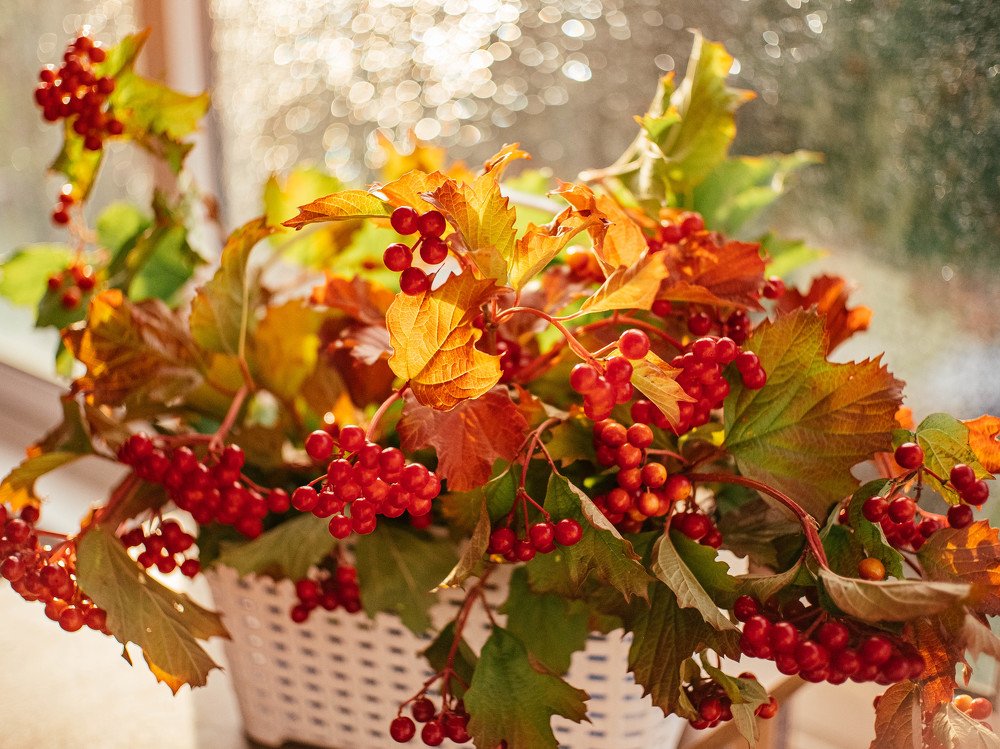 Photograph by Татьяна Ефименко