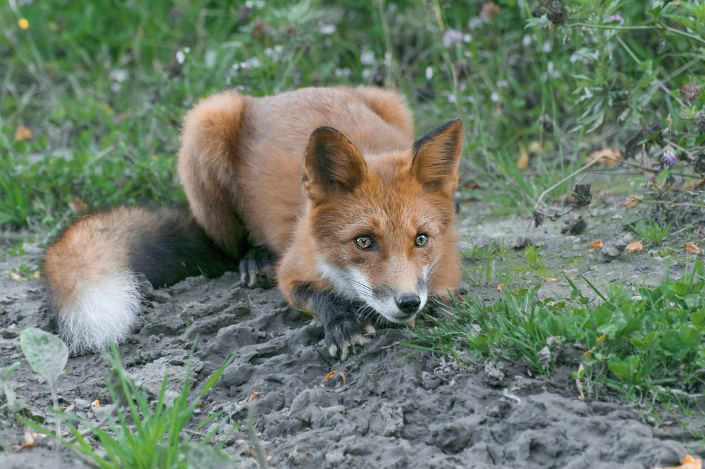 Photograph by Наталья Королева