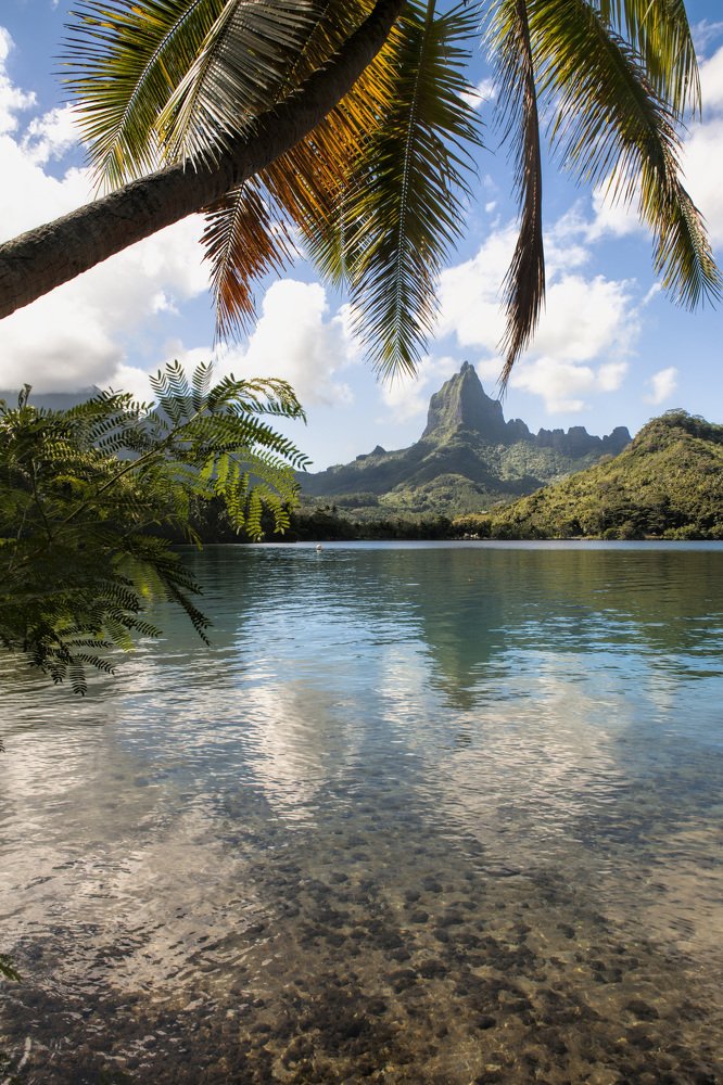 Photograph by Irina Grigoryeva