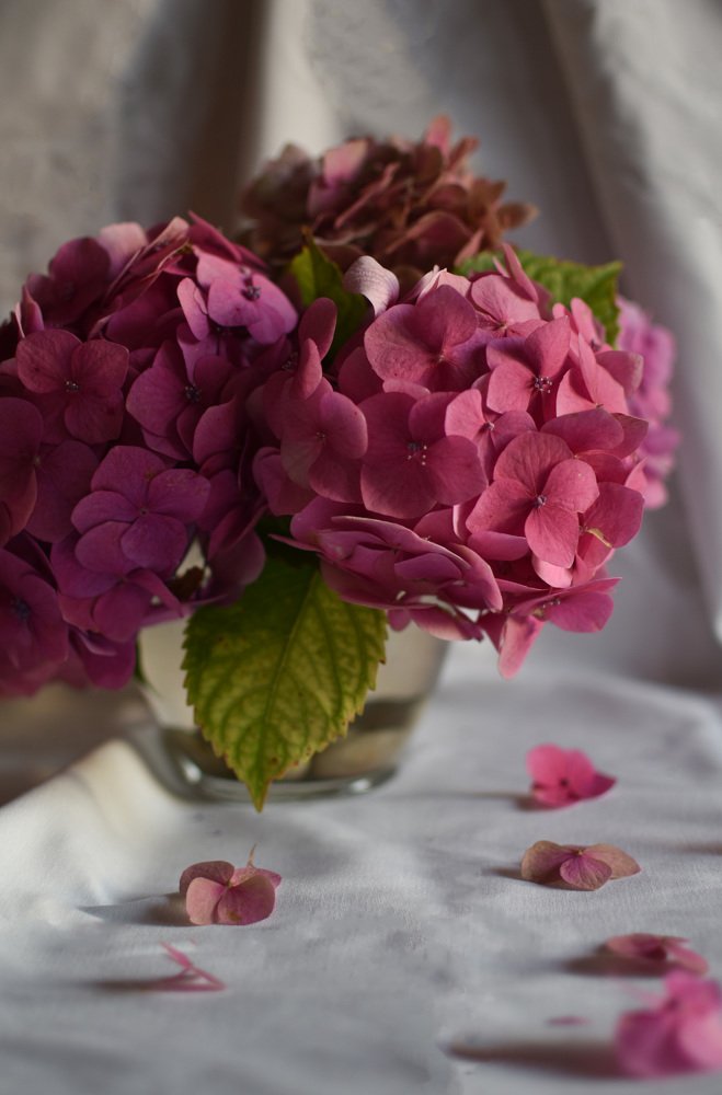 Photograph by Vira Popova