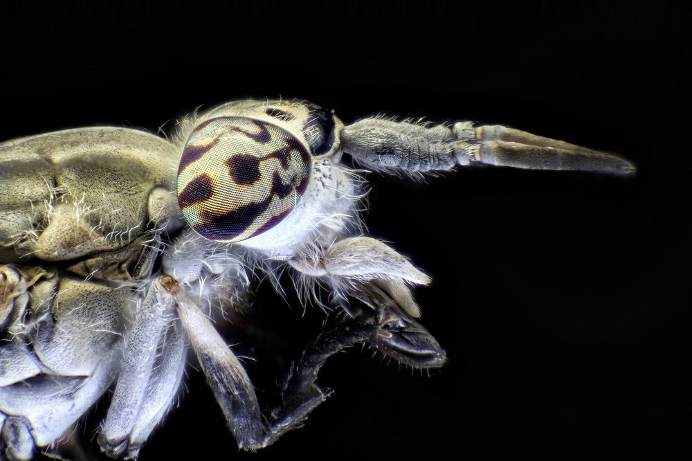 Photograph by Ali Baghizadeh