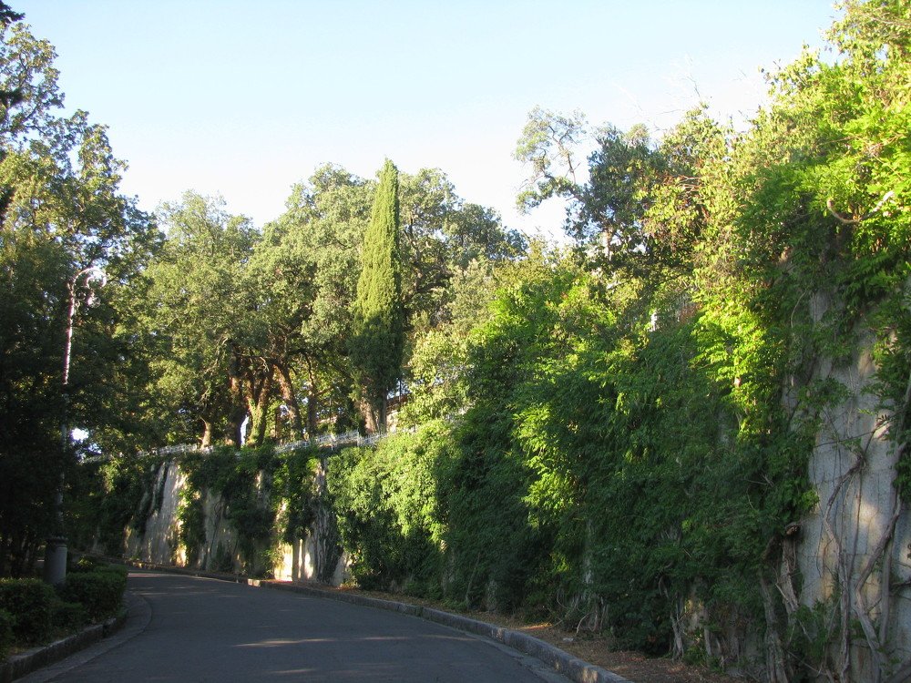 Photograph by Любовь Матвеева