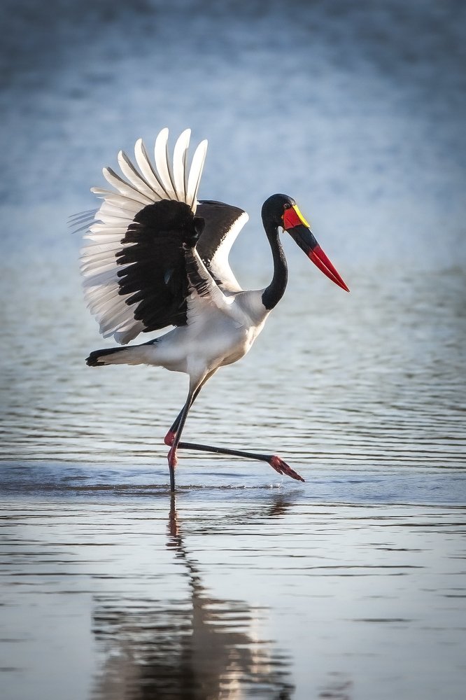 Photograph by Thinus van Staden