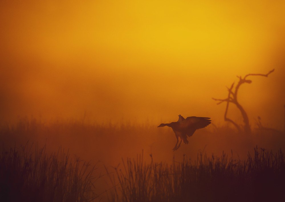 Photograph by Thinus van Staden