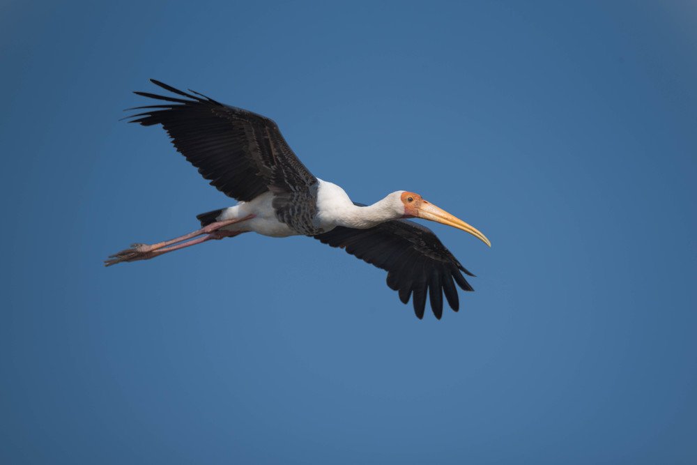 Photograph by RAJEEV JAIN