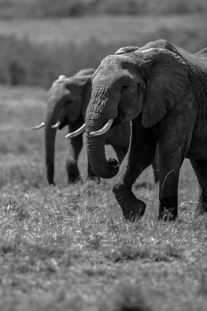 Photograph by Kalyan Chakraborty