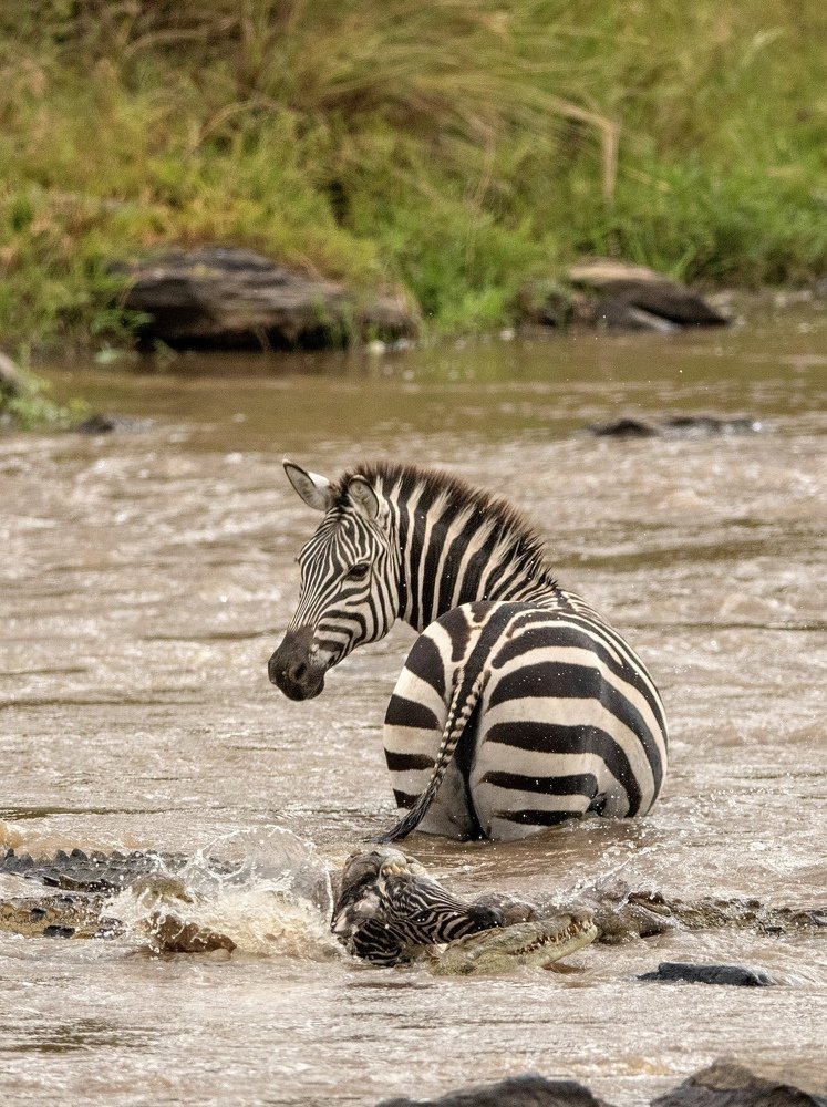 Photograph by Kalyan Chakraborty