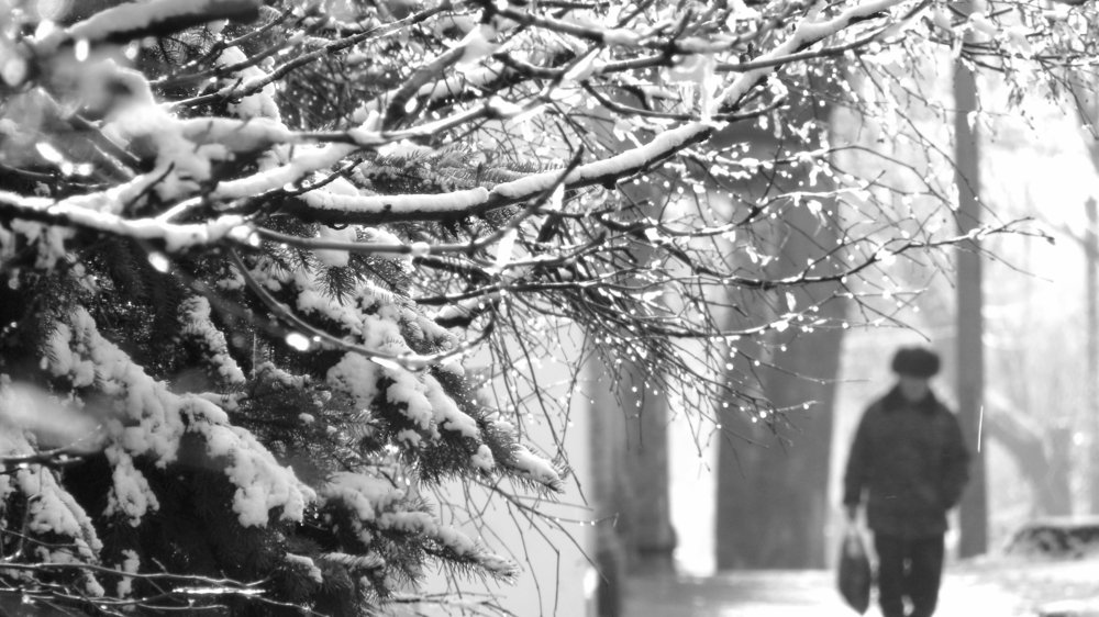 Photograph by Александр Малютин