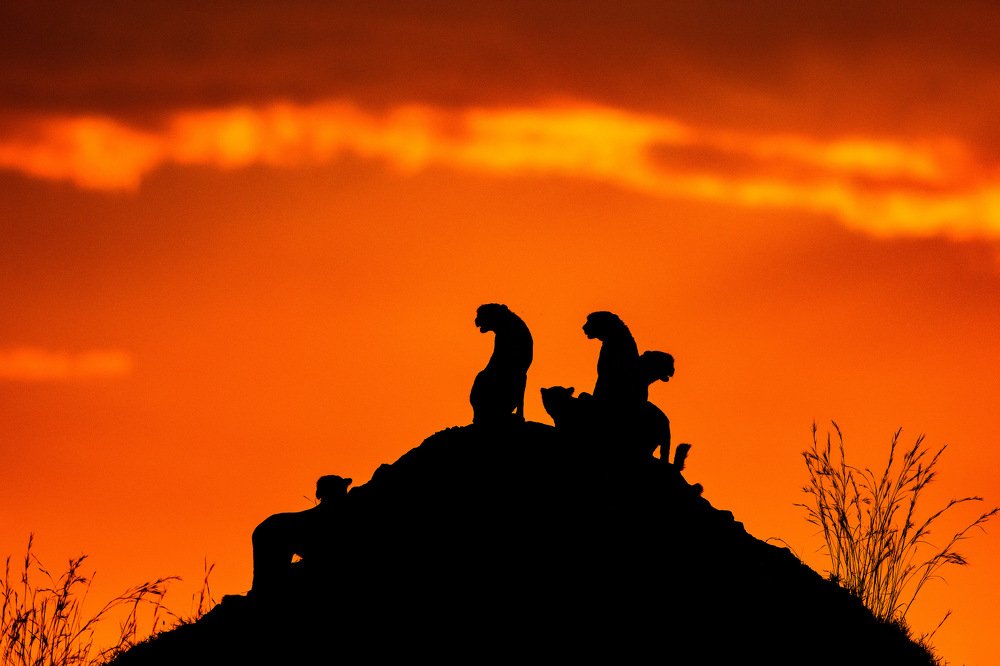 Photograph by Kalyan Chakraborty