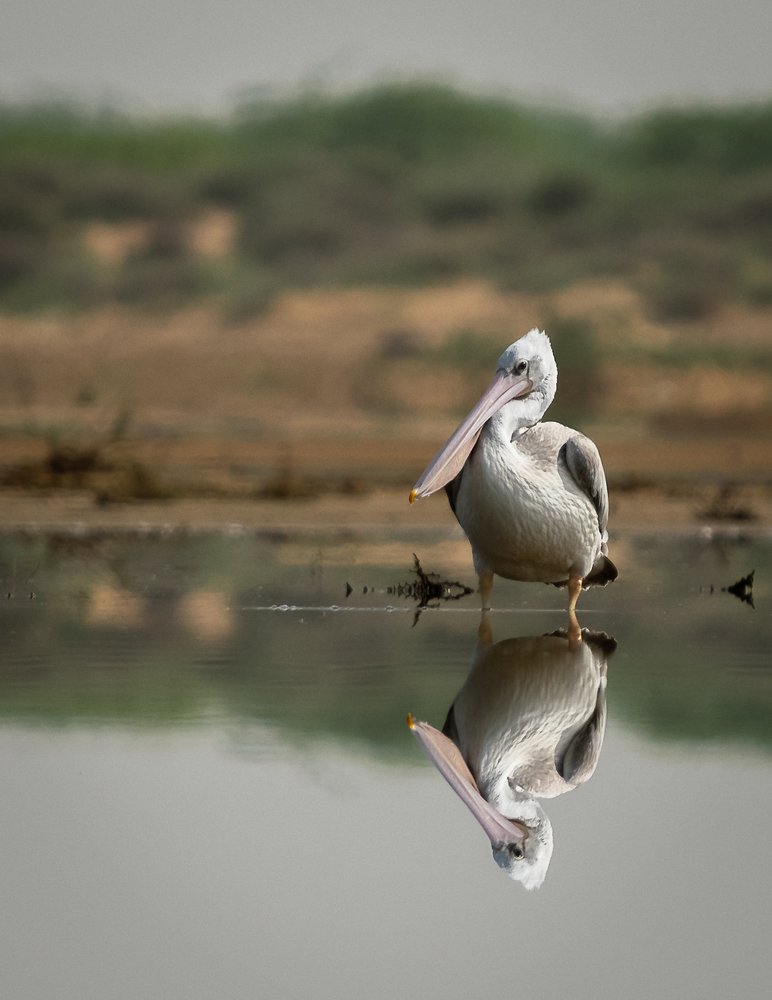 Photograph by Abdul Asif