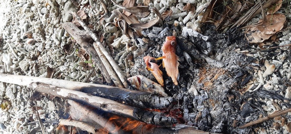 Burnt Fish
