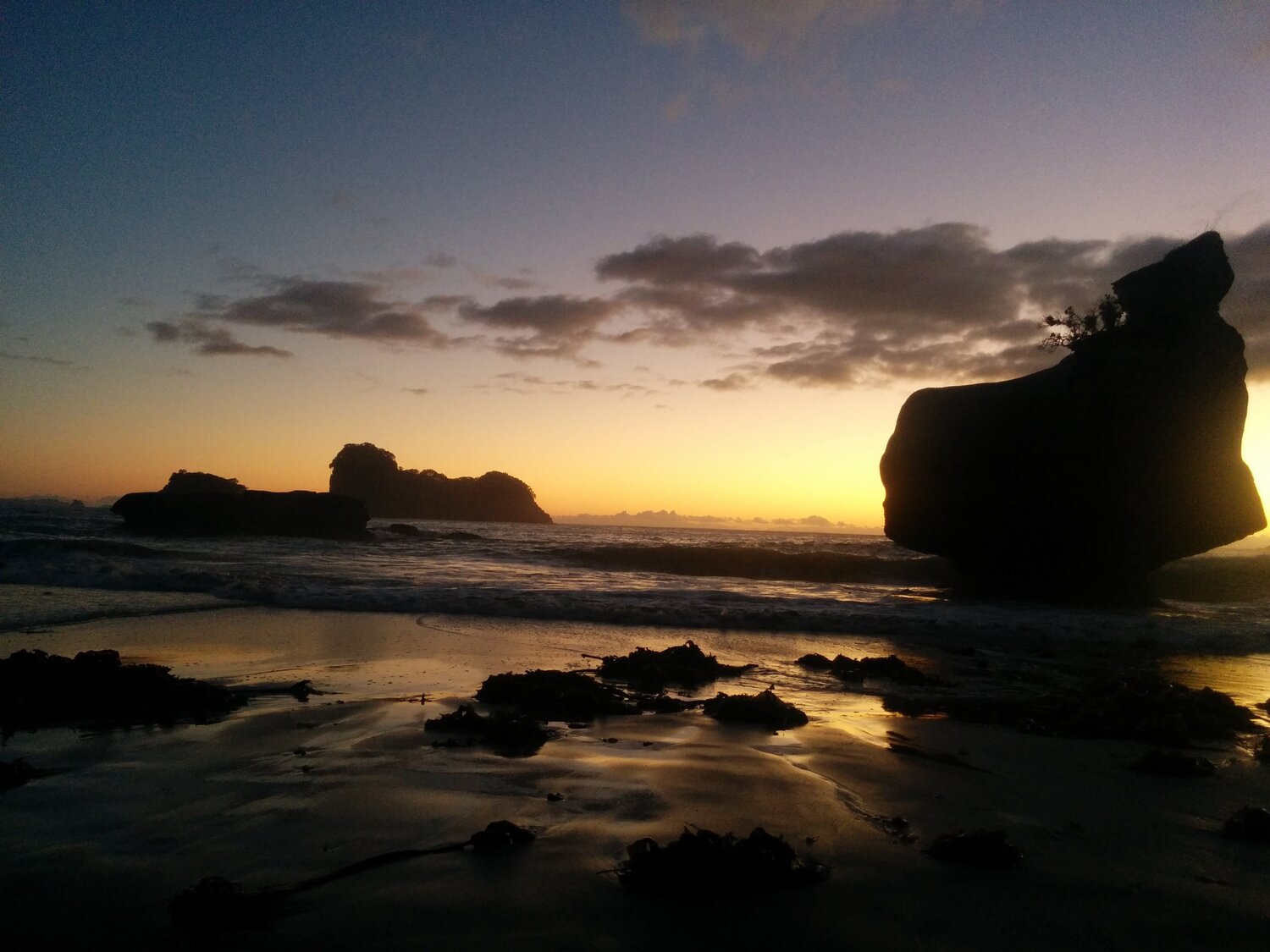 Photo #4953562