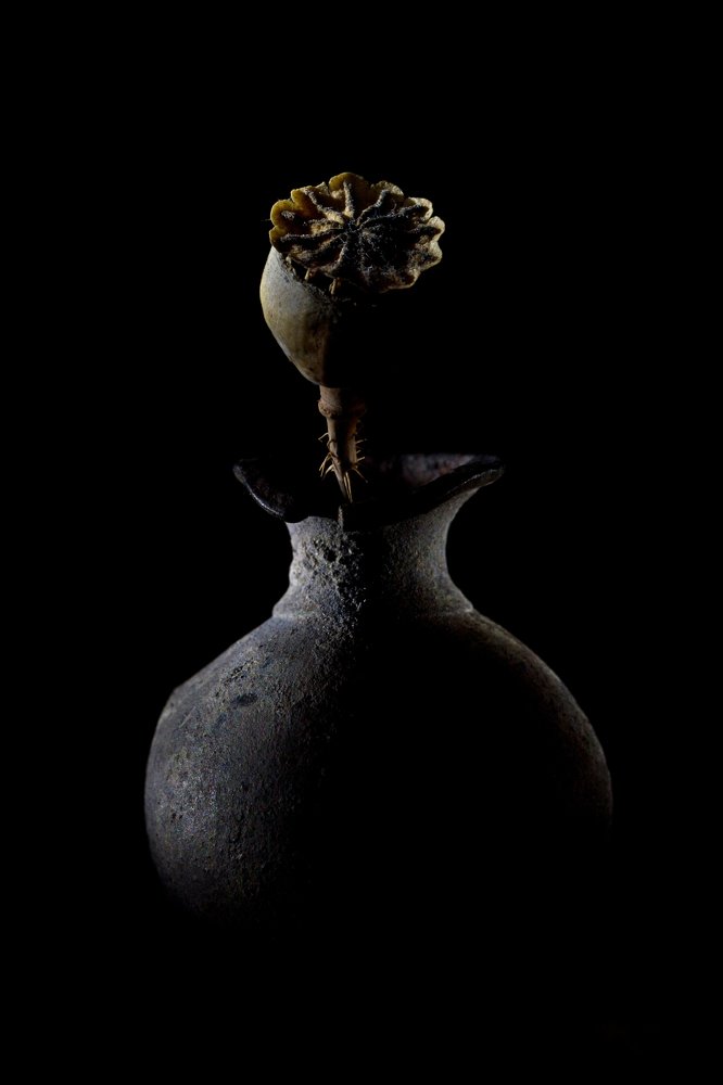 Photograph by Лемянский Владислав