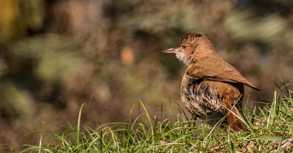 Photograph by Jorge Bagnuoli