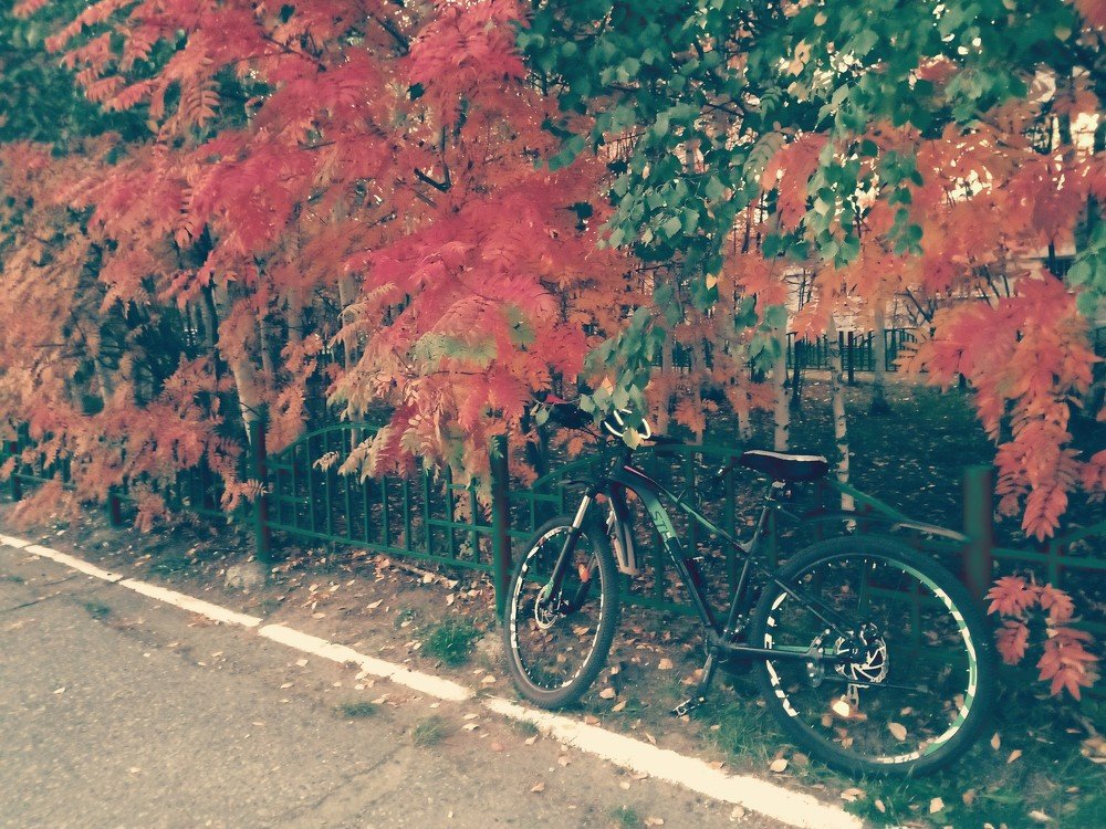 Photo #4953766