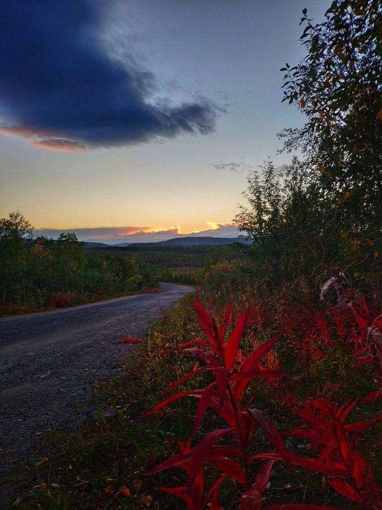 Photograph by Анна Шейко