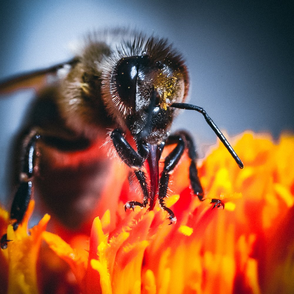 Photograph by Юлия Шматова