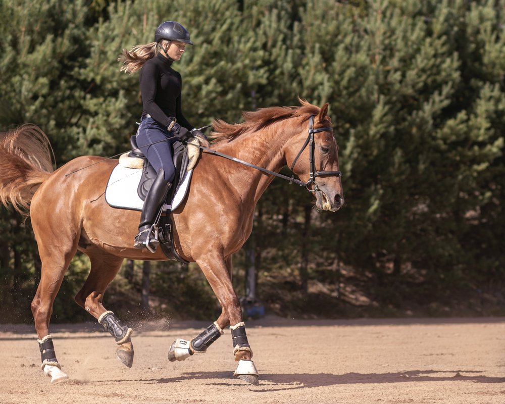 Photograph by Anna Sindikayeva