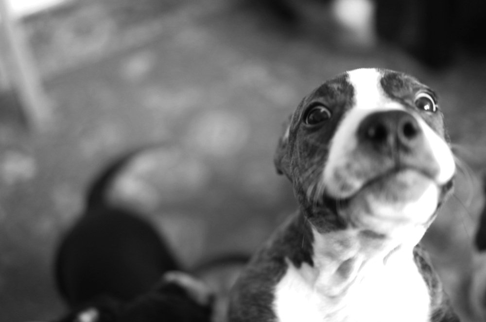 Photograph by Наталия Андреева