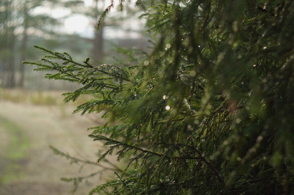 Photograph by Наталия Андреева