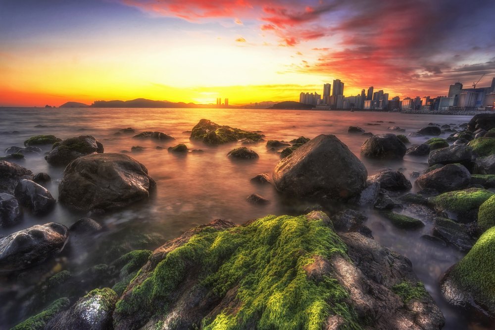 Photograph by faizal ahmed