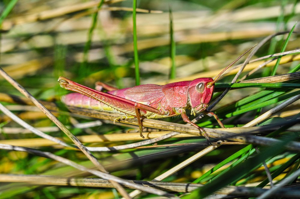 Photograph by Олеся zme