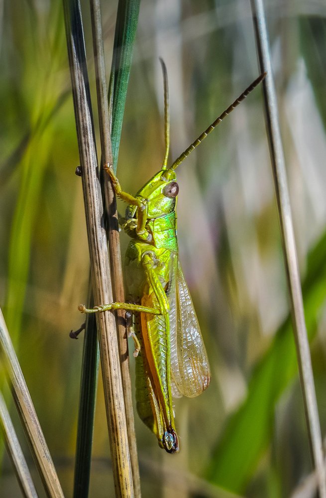Photograph by Олеся zme