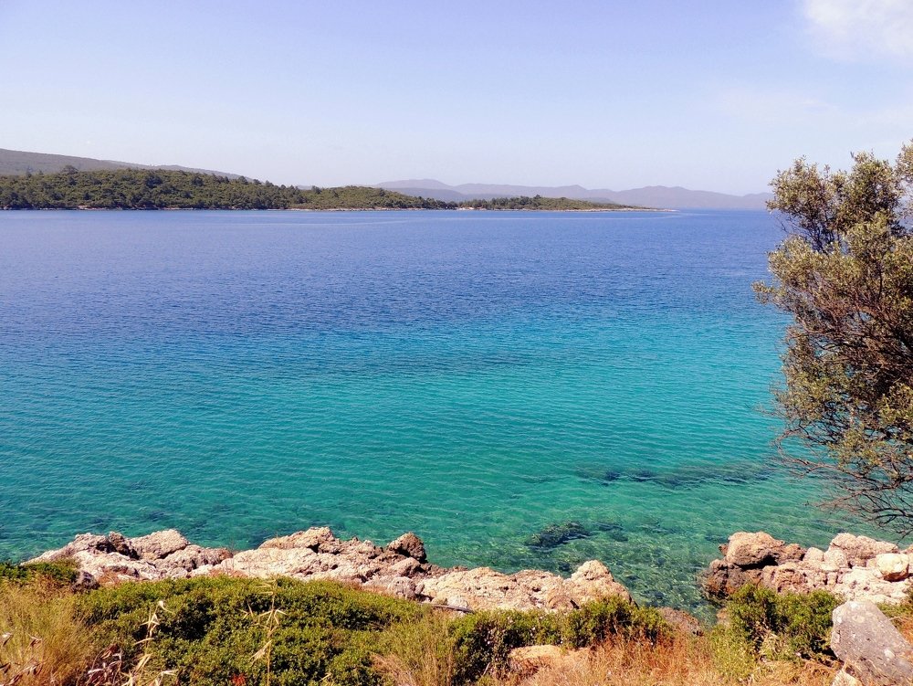 Photograph by Роман Савоцкий